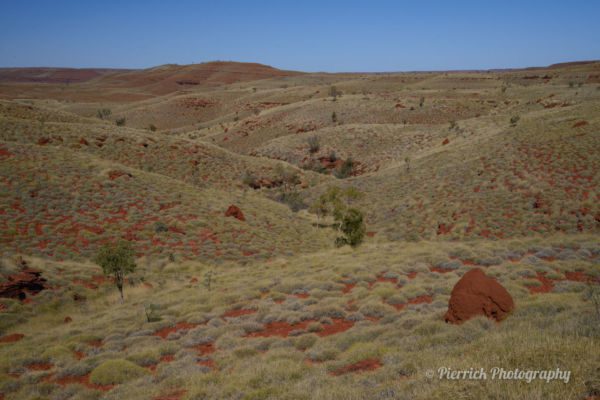parc-national-millstream-chichester-08