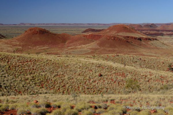 parc-national-millstream-chichester-12