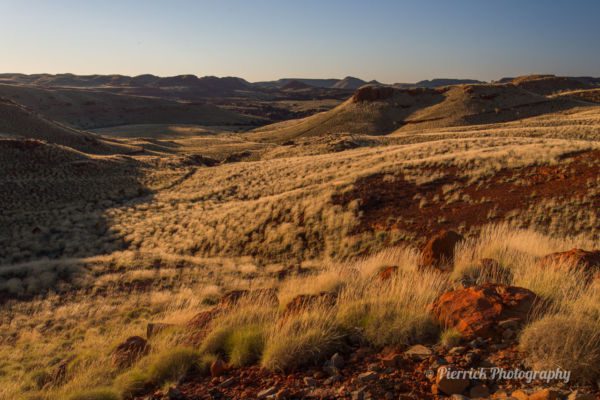 parc-national-millstream-chichester-20