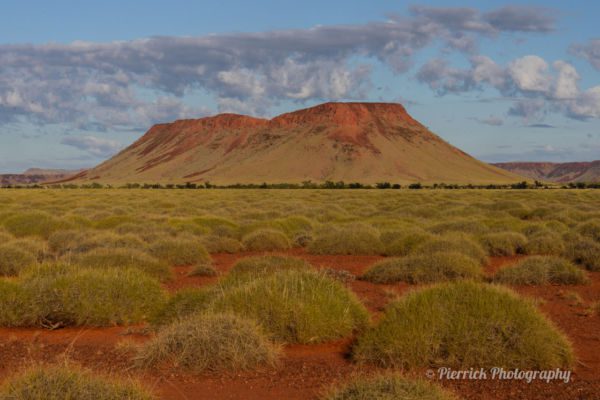 parc-national-millstream-chichester-22