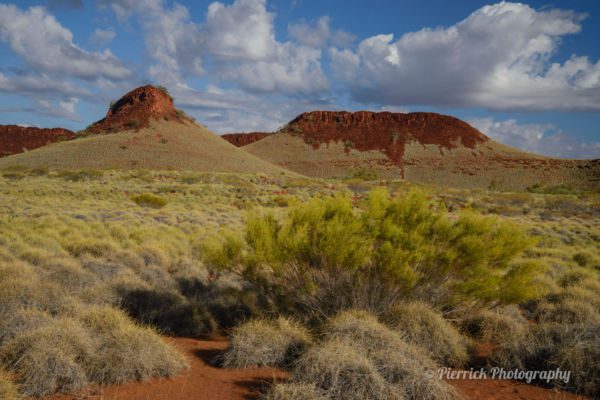 parc-national-millstream-chichester-27