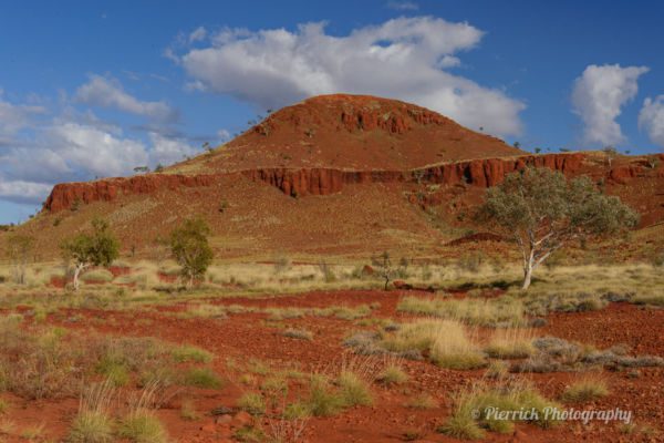 parc-national-millstream-chichester-28