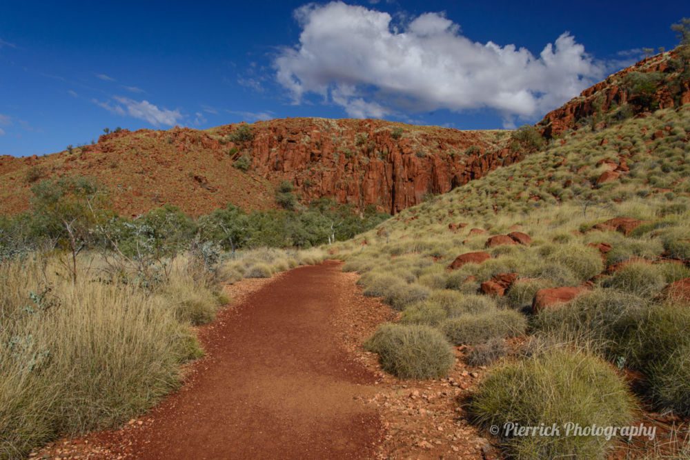 parc-national-millstream-chichester-30