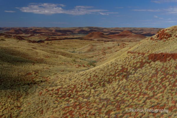 parc-national-millstream-chichester-34