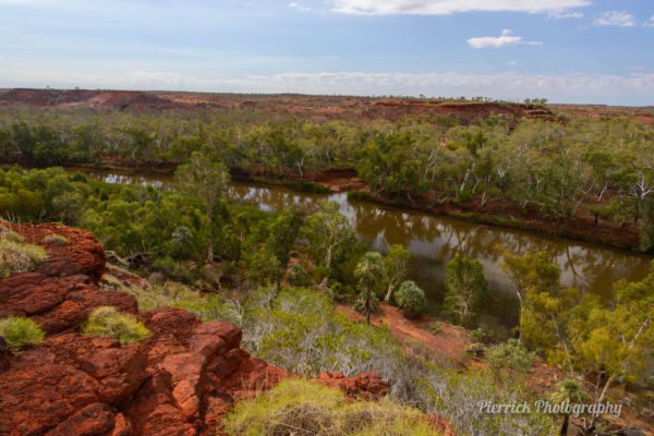 parc-national-millstream-chichester-37