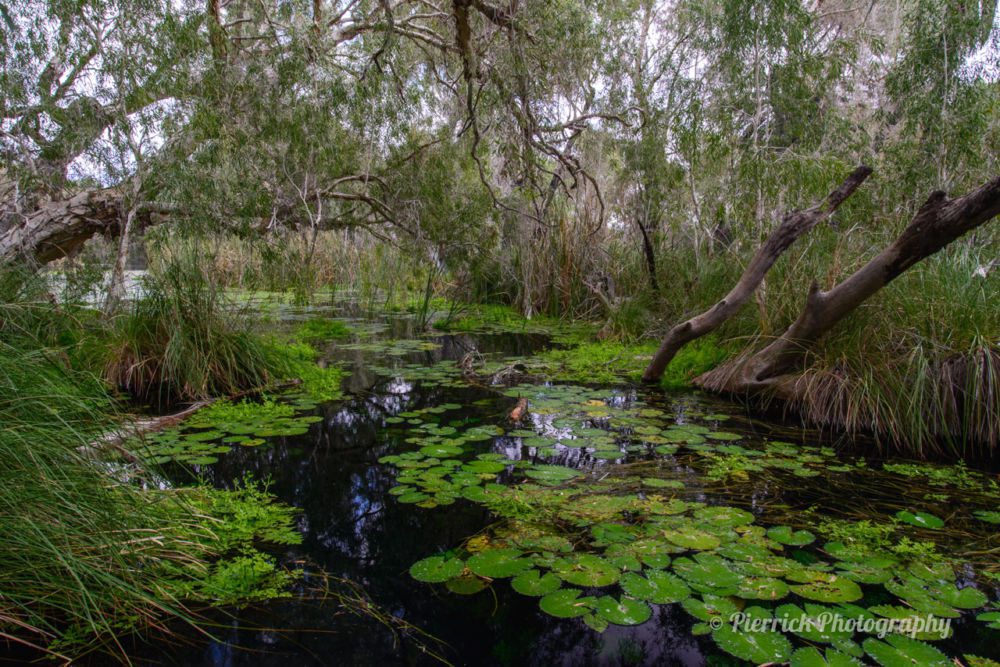 parc-national-millstream-chichester-44