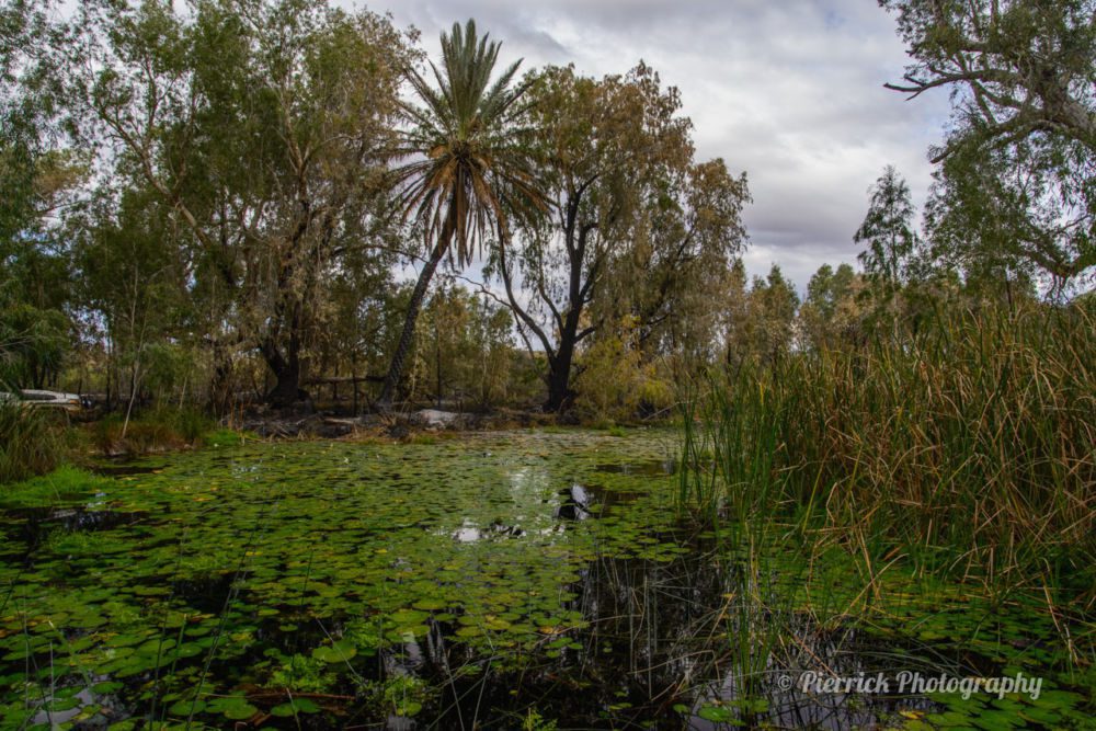 parc-national-millstream-chichester-45