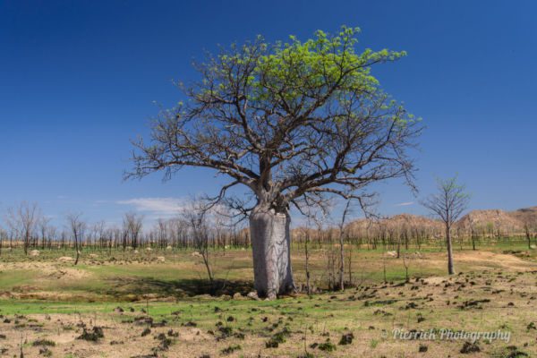 great-northern-highway-01
