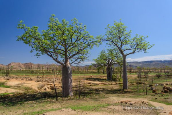 great-northern-highway-02