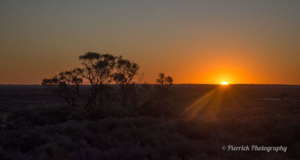 Parc-national-Mungo-03