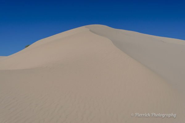 Parc-national-Mungo-17