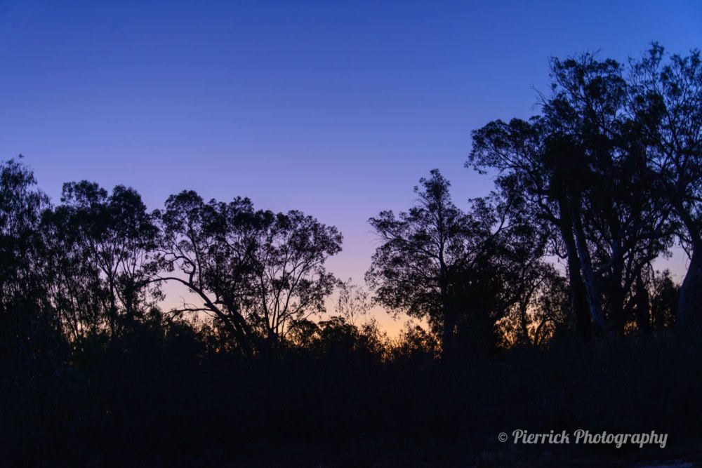 Parc-national-Mungo-24