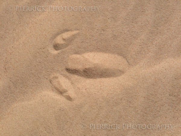 Parc-national-Mungo-25