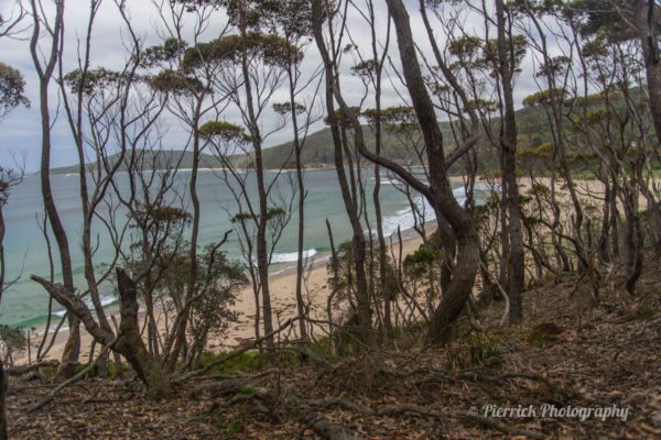 Pebbly-beach-Murramarang-national-park-01