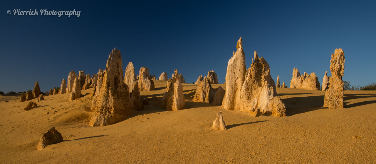 Pinnacles dans le parc national de Nambung en Western Australia