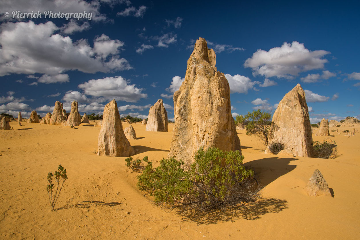 Pinnacles dans le parc national de Nambung en Western Australia