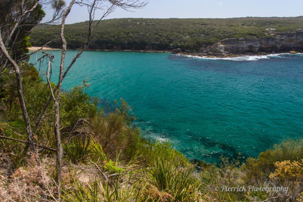 royal-national-park-wattamolla-beach-1