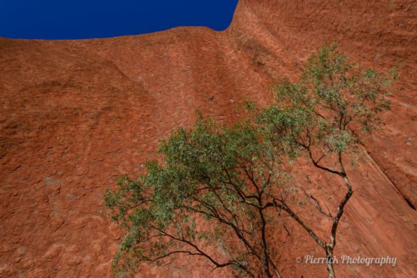 parc-national-uluru-07