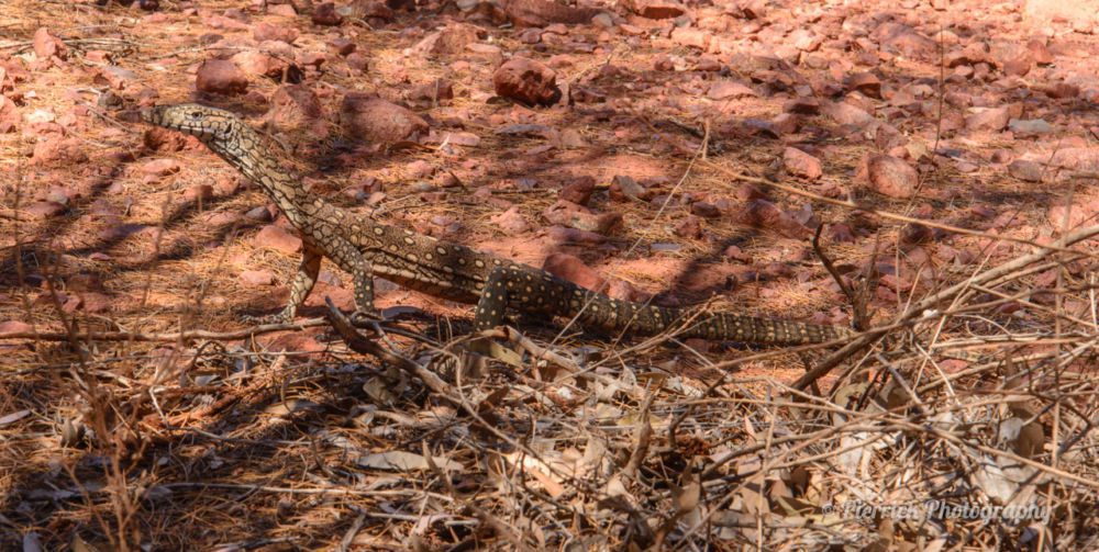 parc-national-uluru-27