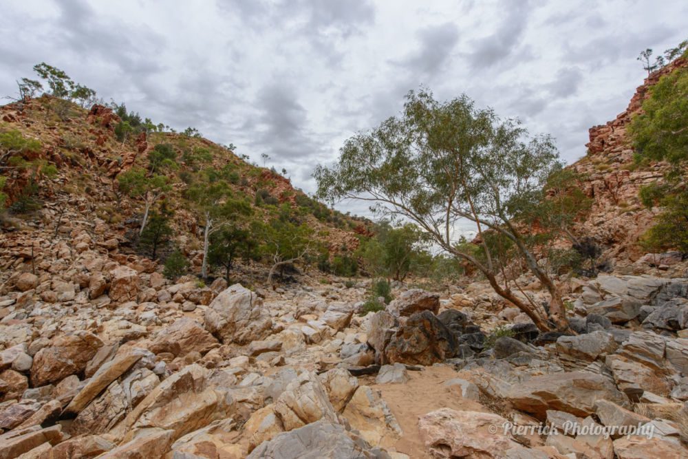 parc-national-west-macdonnell-02