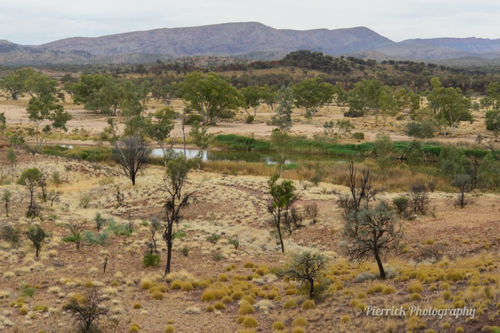 parc-national-west-macdonnell-06