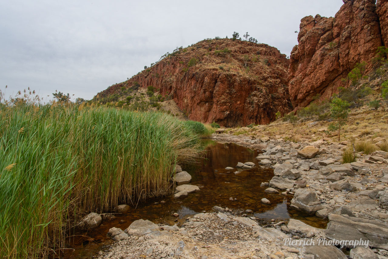 Parc national West Macdonnell - Gorge Glen Helen