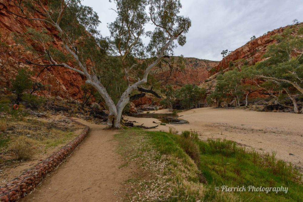 parc-national-west-macdonnell-13
