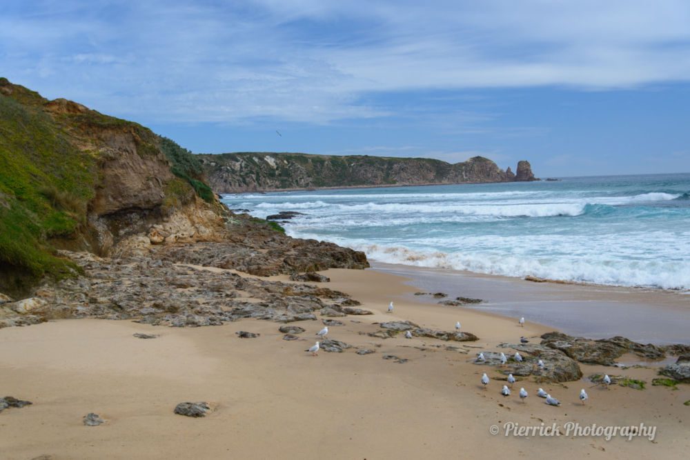phillip-island-01