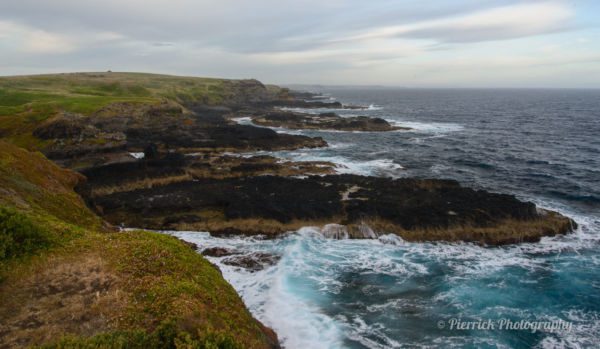 phillip-island-19