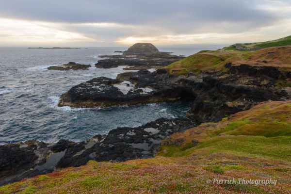 phillip-island-21