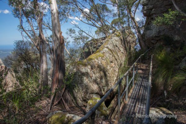 pigeon-house-mountain-trail-6