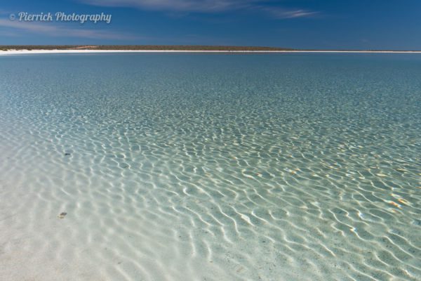 Shark-bay-03