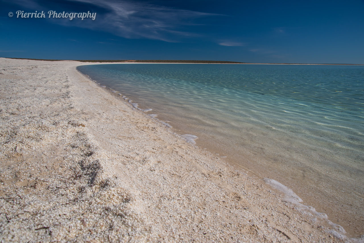 Shell beach sur le péninsule de Shark bay