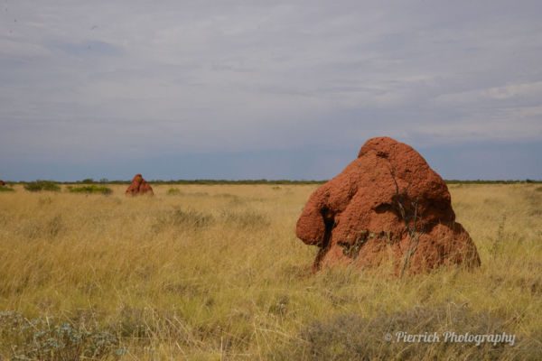 tanami-road-12