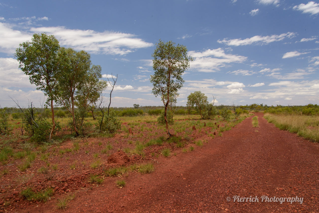 Paysage sur Tanami track