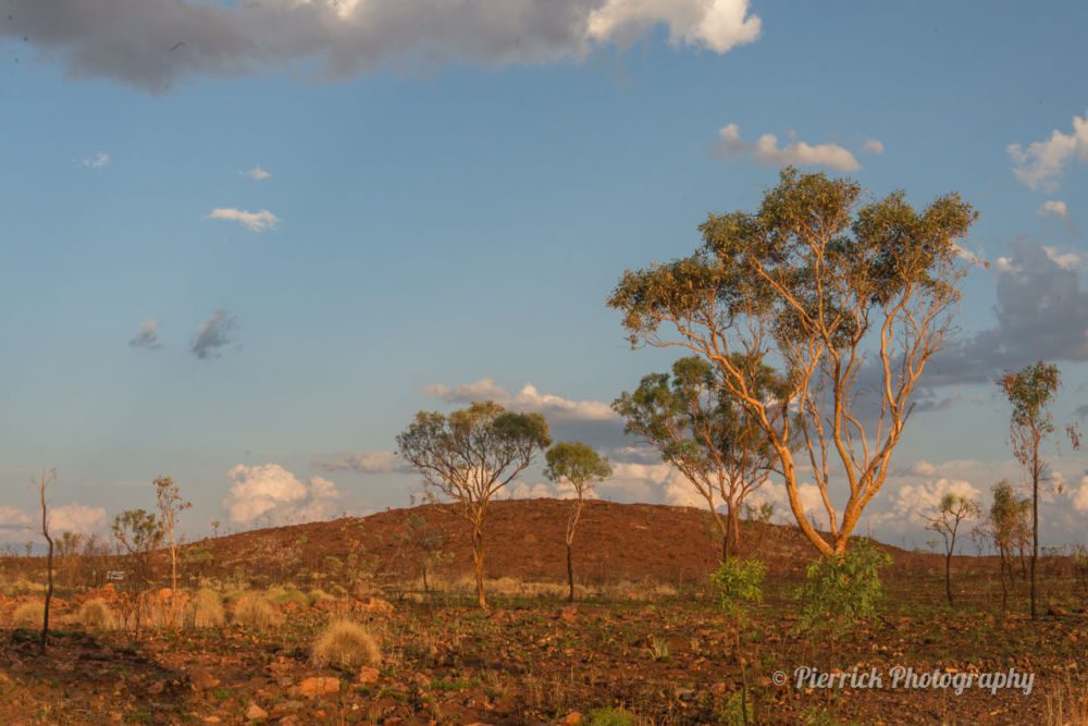 tanami-road-18