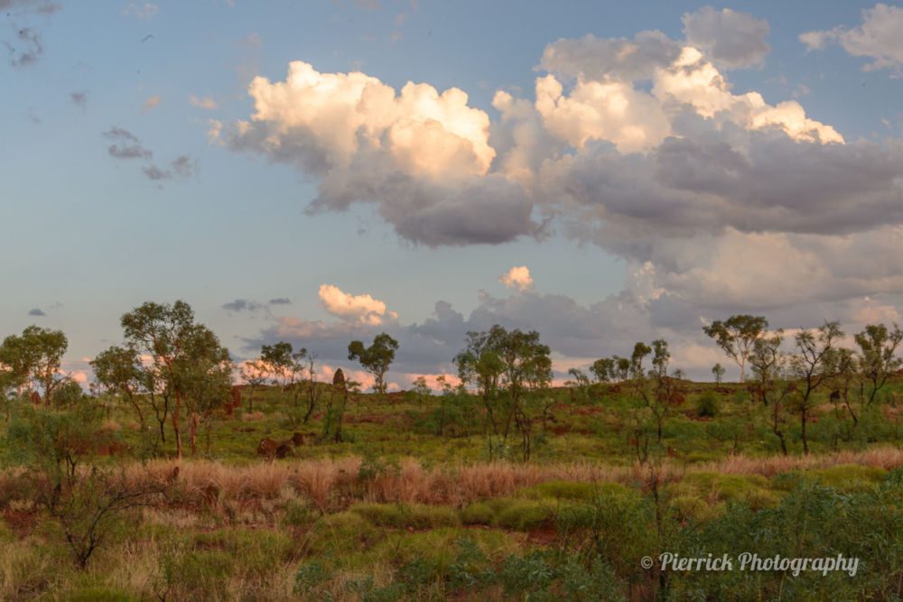 tanami-road-19