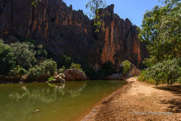 Windjana-gorge-01