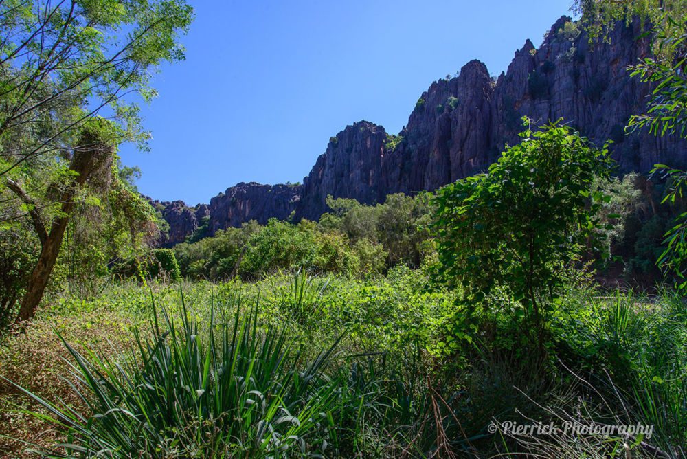 Windjana-gorge-08