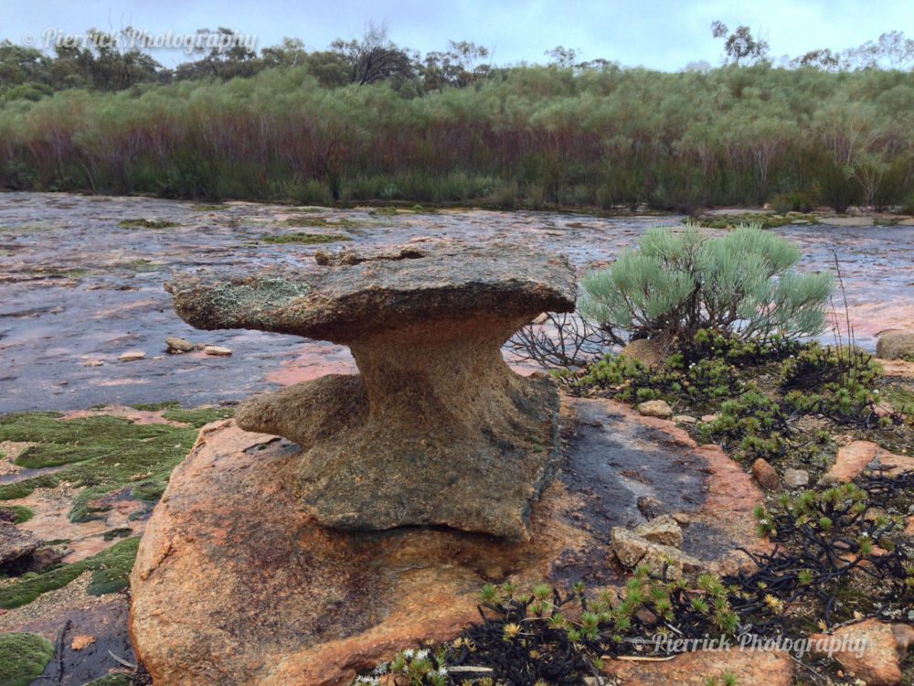 Disappointment-rock-01