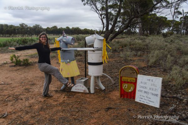 Tin-Horse-Highway-10