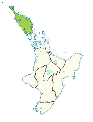 Carte île du Nord Nouvelle-Zélande - Région du Northland