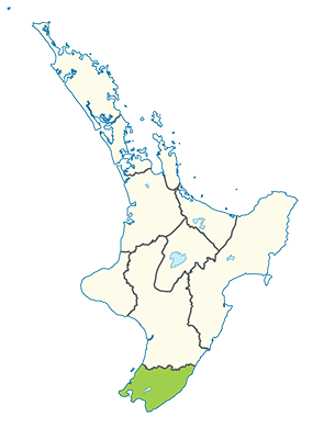 Carte île du Nord Nouvelle-Zélande - Région de Wellington