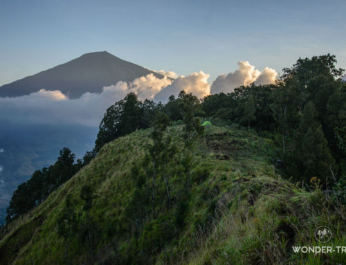 Randonnée du Gunung Pergasingan : lever de soleil sur le Volcan Rinjani