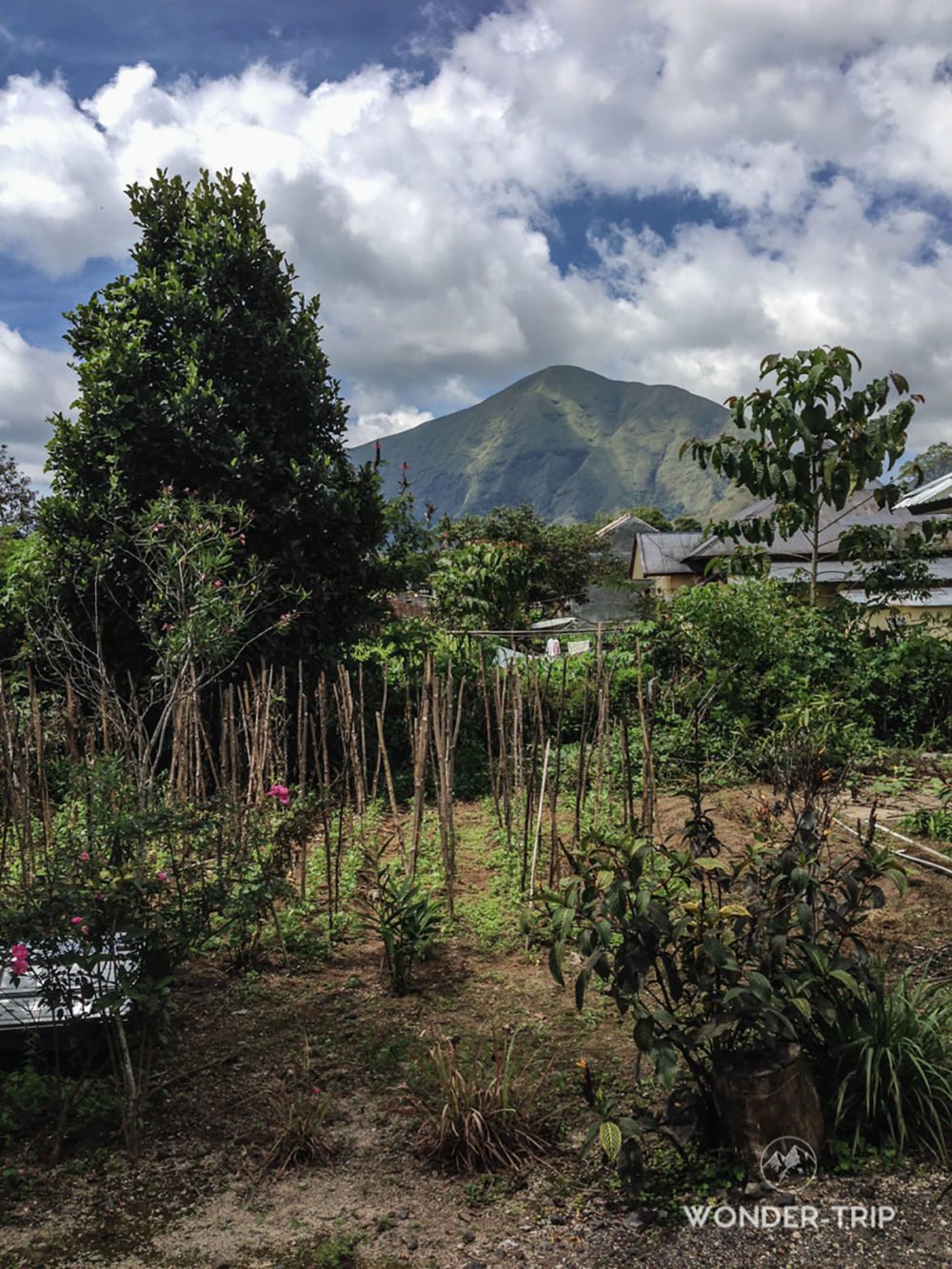 Trajet-Sembalun-Lawang-05