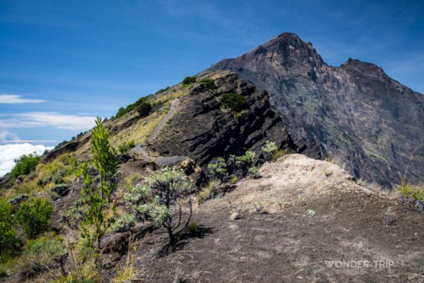 trek-rinjani-31
