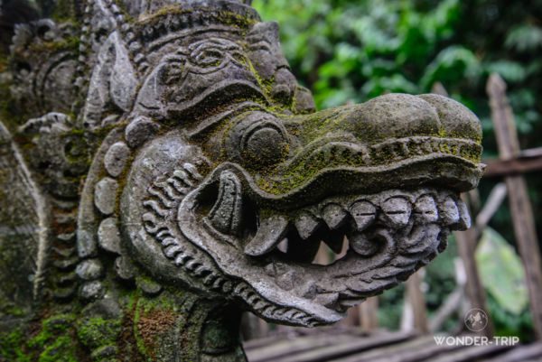 Ubud-Capuhan-Ridge-walk-04