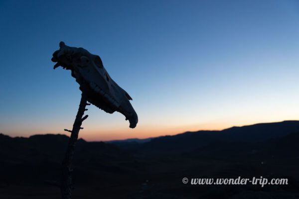 Camp-Yourte-Parc-National-Terelj-08