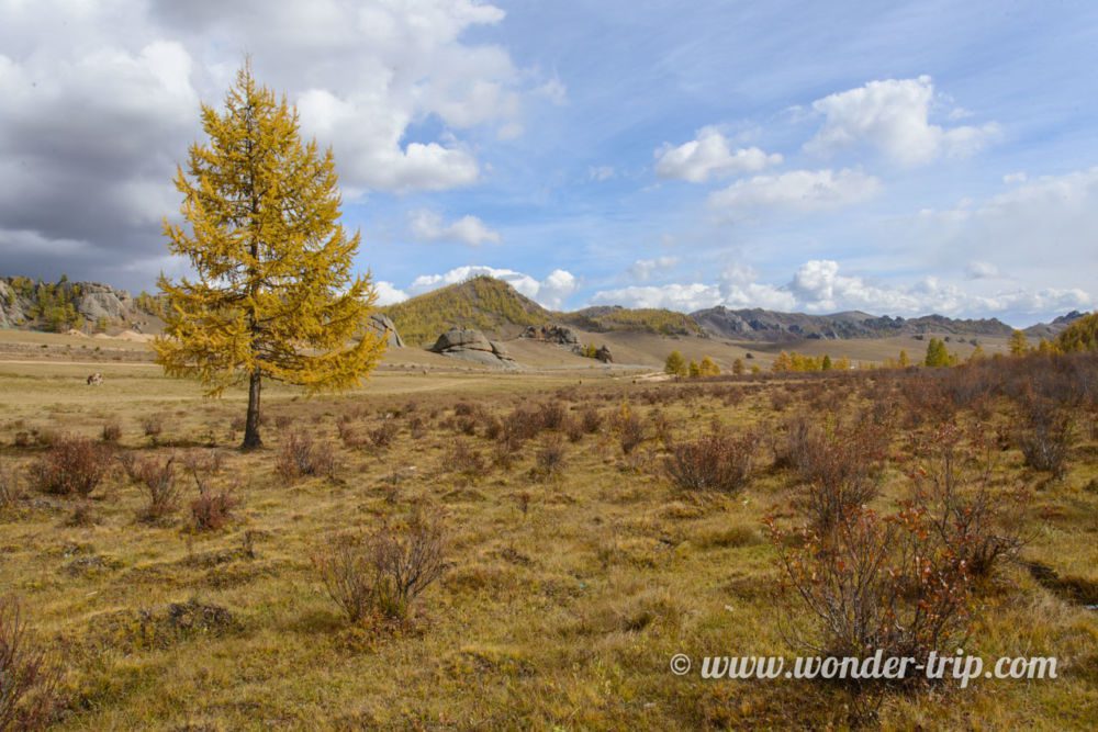 Parc-National-Terelj-Vallee-Turtle-Rock-07