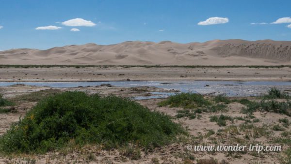 Khongoryn-Els-Mongolie-01